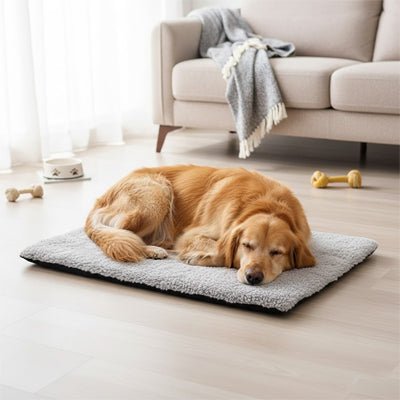 Tapis-pour-chien-xxl-auto-chauffant-dehoussable-lavable en machine, rembourrage 100% coton PP avec deux couches d'isolant et aluminium pour refléchissement de la chaleur-autonome, sans électricité, peluche ultra douce de grande taille de longueur de 115 cm-un chien de taille moyenne qui dort paisiblement au chaud sur le tapis xxl de couleur gris dans le salon de la maison