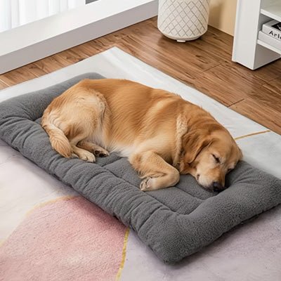Tapis-pour-chien-réversible-toile et flanelle douce-rembourrage 100% coton haute densité ergonomique-polyvalent-xxl-grand tapis pour toutes tailles de chien-lavable en machine-de couleurs gris-un grand chien qui dort paisiblement sur son grand matelas épais et confortable, résistant aux griffes et durable dans la chambre de la maison