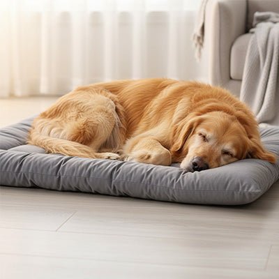 Tapis-pour-chien-réversible-toile et flanelle douce-rembourrage 100% coton haute densité ergonomique-polyvalent-xxl-grand tapis pour toutes tailles de chien-lavable en machine-de couleurs gris-un grand chien qui dort paisiblement en boule sur son grand matelas épais et confortable, résistant aux griffes et durable dans le salon de la maison