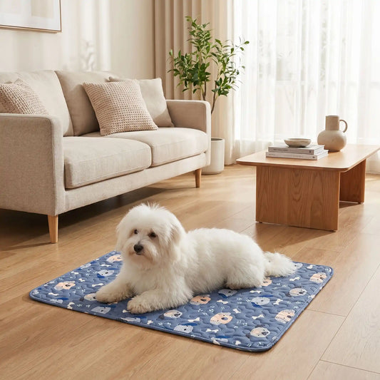 Tapis-pour-chiens-100% imperméable, 100 %coton haute densité lavable en machine, polyvalent, solide et résistant aux griffes, rafraichissant pour l'été et confortable en hiver, protège vos sols et vos meubles, disponible en 4 tailles du XS au L pour chiot et chien de petite à moyenne taille de 0 à 25 kg avec motif mignon-un Bichon maltais couché confortablement sur son tapis bleu avec motif mignon de chien et d'os sur le sol du salon de l'appartement
