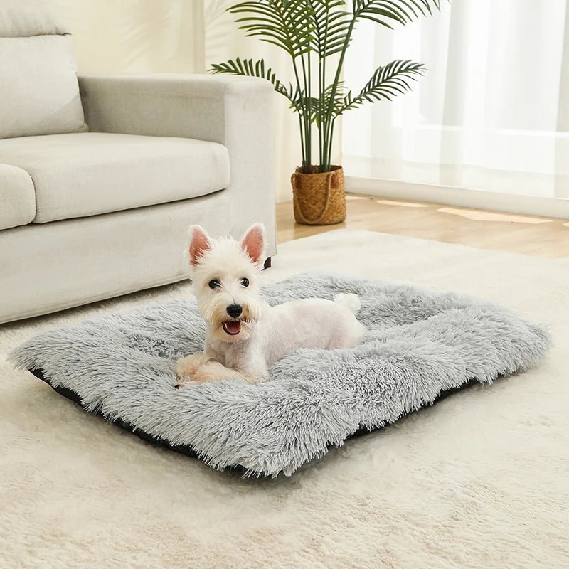 Tapis-pour-chiens-imperméable-rectangulaire-en peluche douce-ergonomique-coton haute densité-épais-antidérapant-lavable en machine-un petit chien blanc couché confortablement sur son tapis gris clair épais à mémoire de forme hypoallergénique sur le sol du salon de la maison