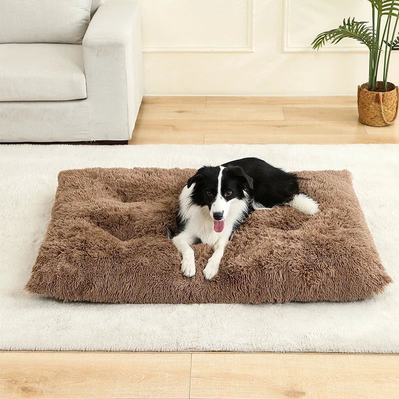 Tapis-pour-chiens-chaud en peluche douce et résistante-lavable en machine-antidérapant rembourrage 100% coton PP-épais et ergonomique-un chien de taille moyenne confortablement couché sur son tapis à mémoire de forme marron dans le salon de l'appartement