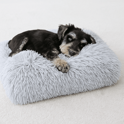 Tapis-pour-chiens-chiots-en peluche et rembourrage 100% coton haute densité-antidérapant-lavable en machine-un chiot niché et couché sur la peluche douce du tapis épais et ergonomique de couleur gris clair 