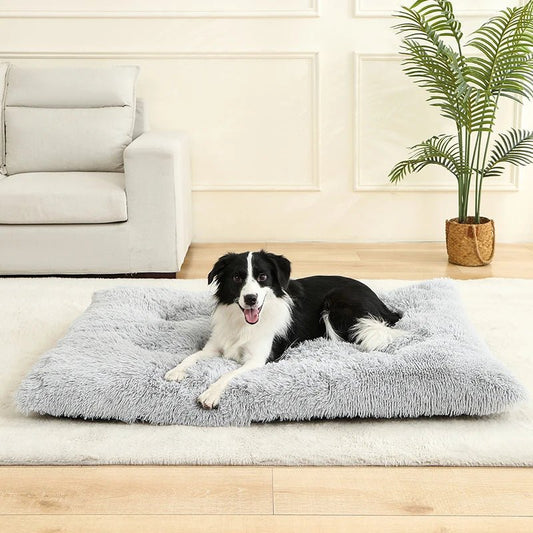 Tapis-pour-chiens-douillet-lavable-antidérapant-imperméable-rembourrage 100% coton haute densité-un Border collie couché confortablement sur son grand tapis ergonomique gris clair dans le salon de la maison