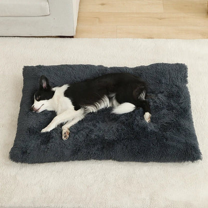 Tapis-pour-chiens-imperméable-peluche-antidérapant-rembourrage 100% coton haute densité-ergonomique-doux-chaud-résistant-un Border Collie qui dort sur le flanc de tout son long sur son grand tapis gris foncé sur le sol du salon