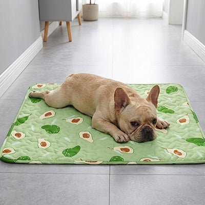Tapis-pour-chiens-100% imperméable, 100 %coton haute densité lavable en machine, polyvalent, solide et résistant aux griffes, rafraichissant pour l'été et confortable en hiver, protège vos sols et vos meubles, disponible en 4 tailles du XS au L pour chiot et chien de petite à moyenne taille de 0 à 25 kg avec motif mignon-un bouledogue français couché confortablement sur le ventre sur son tapis vert avec motif mignon avocat sur le sol du couloir de l'appartement