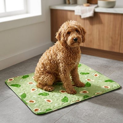 Tapis-pour-chiens-100% imperméable, 100 %coton haute densité lavable en machine, polyvalent, solide et résistant aux griffes, rafraichissant pour l'été et confortable en hiver, protège vos sols et vos meubles, disponible en 4 tailles du XS au L pour chiot et chien de petite à moyenne taille de 0 à 25 kg avec motif mignon-un caniche moyen assis confortablement sur son tapis vert avec motif mignon avocat sur le sol de la cuisine de l'appartement