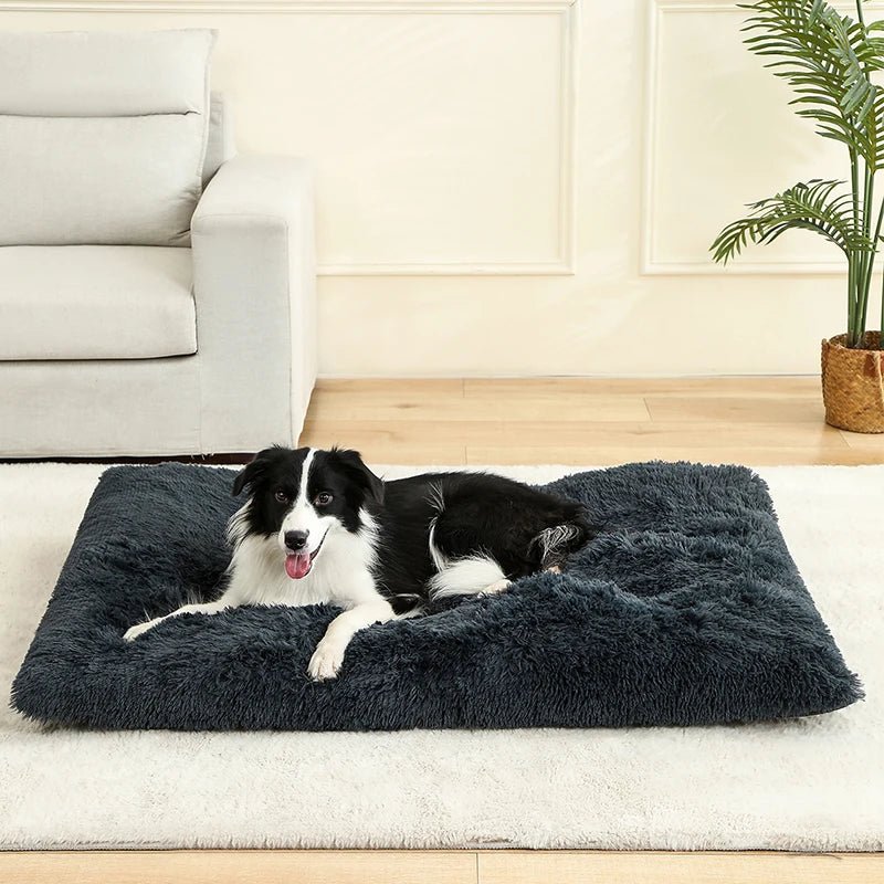 Tapis-pour-chiens-lavable en machine-matelassé-rembourrage 100% coton haute densité et haute résilience-imperméable et antidérapant-en peluche douce et résistance pour chien de petite à moyenne taille jusqu'à 30 kg-un chien couché confortablement et au chaud sur son tapis à mémoire de forme ergonomique de couleur gris foncé dans le salon de la maison