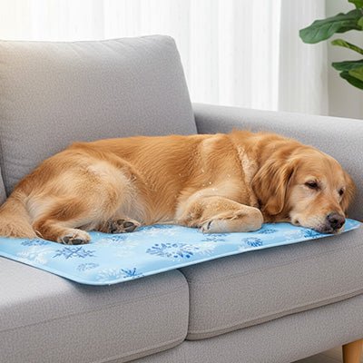 Tapis-rafraichissant-chien-chiot-gel-froid avec de l'eau et bouchon sécurisé confortable épais pliable et transportable-réutilisable à l'infini écoresponsable et économique jusqu'à 7 à 9 degrés de moins-protection canine lors de l'été et chaleur-un grand chien à poils longs qui se repose et s'endort paisiblement couché confortablement sur son tapis rafraichissant en gel non toxique et PVC résistant aux griffes sur le canapé du salon