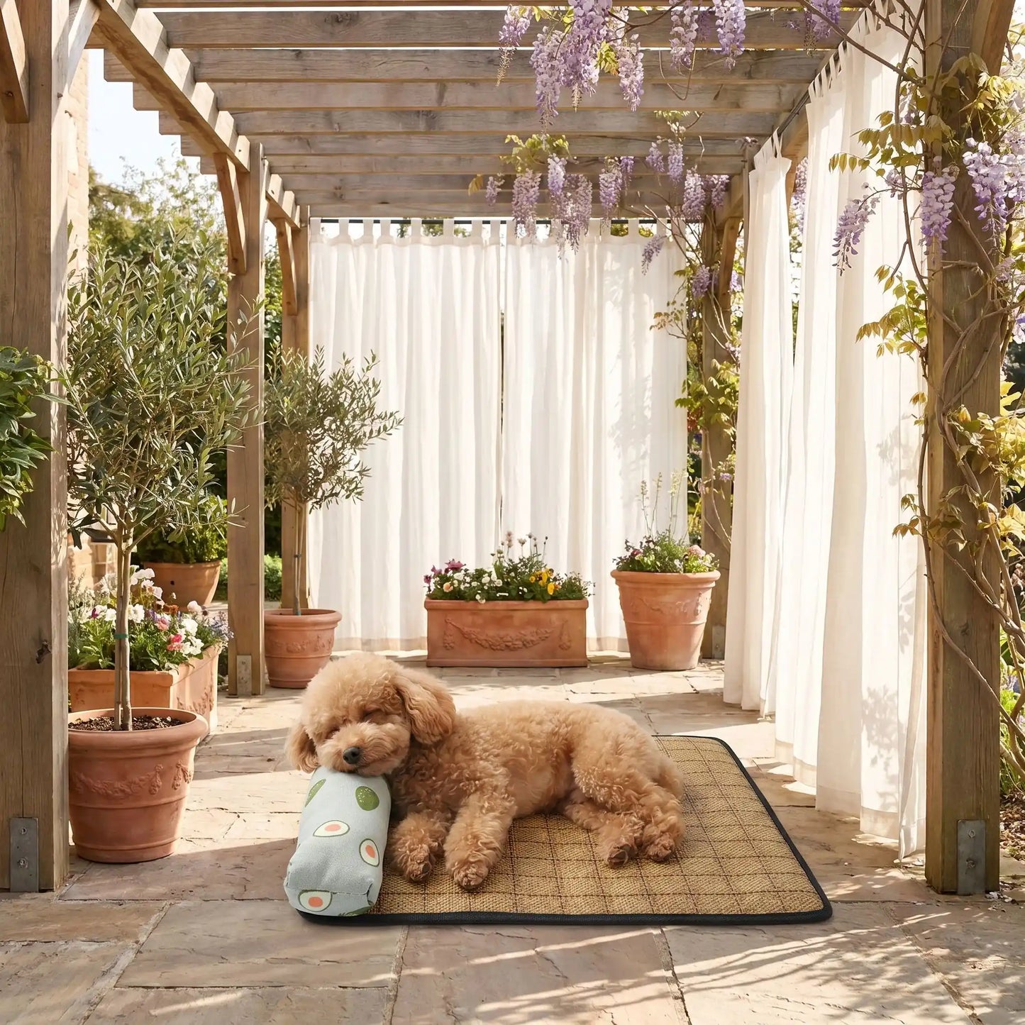 Tapis-rafraichissant-chien-petit-antidérapant, imperméable, résistant aux griffes, lavable avec traversin intégré , matelas et coussin rembourré 100% coton haute densité ergonomique pour le cou, sécurisant pour les petites races de chien et chiots de 0 à 9 kilos maximum-un petit chien à poils frisé et épais allongé sur le flanc sur le matelas et heureux au frais avec sa tête reposant sur l'oreiller cylindrique en lin respirant  du tapis rafraichissant sur le sol de la pergola de la maison en été