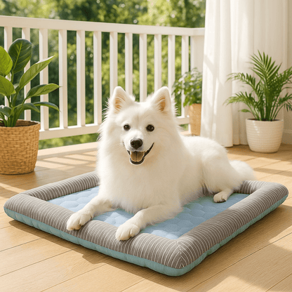 Tapis-rafraichissant-chien-lavable en machine-100% coton-avec rebord surélevé-pour une utilisation partout-panier-voiture-cage-cage de transport-lit-coussin-un Esquimau Américain couché sur le tapis bleu rectangulaire frais avec rebord 100% coton entourant et sécurisant sur la véranda de la maison 