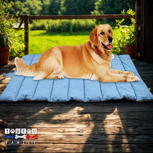 Tapis-xxl-pour-chien un golden retriever couché sur son tapis de voyage 100% imperméable, résistant, antiacarien lavable pour extérieur portable avec son sac et sa poignée de transport