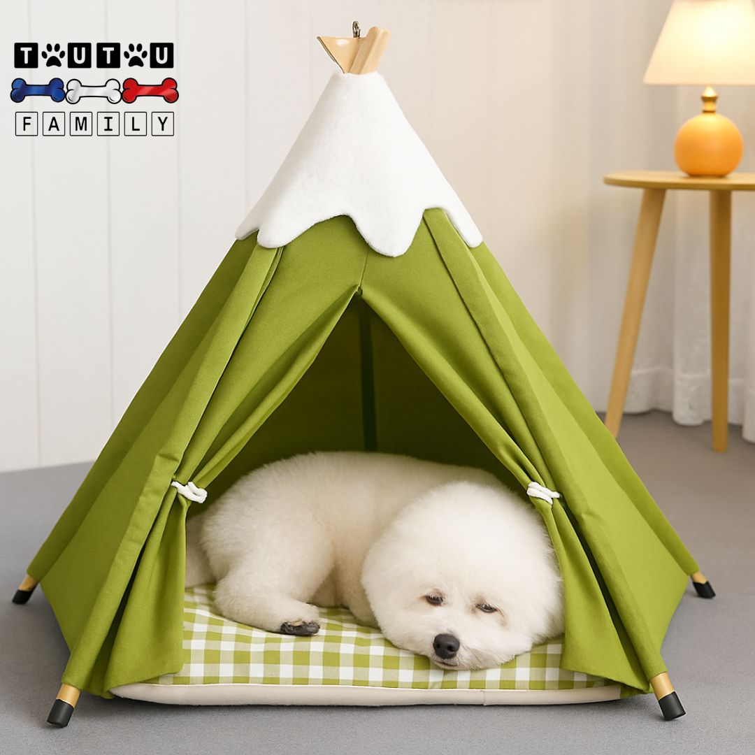 Tipi-pour-chien-avec-coussin-un petit chien qui dort dur le coussin 100% coton rembourré dans le tipi en coton et lin lavable en machine de couleur vert dans la chambre