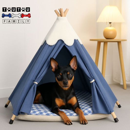 Tipi-pour-chien-bois-coton-lin avec coussin-lavable et déhoussable pour petit chien et chiot-un pinscher nain couché confortablement dans son tipi avec les rideaux accroché et ouvert sur l'avant dans son salon