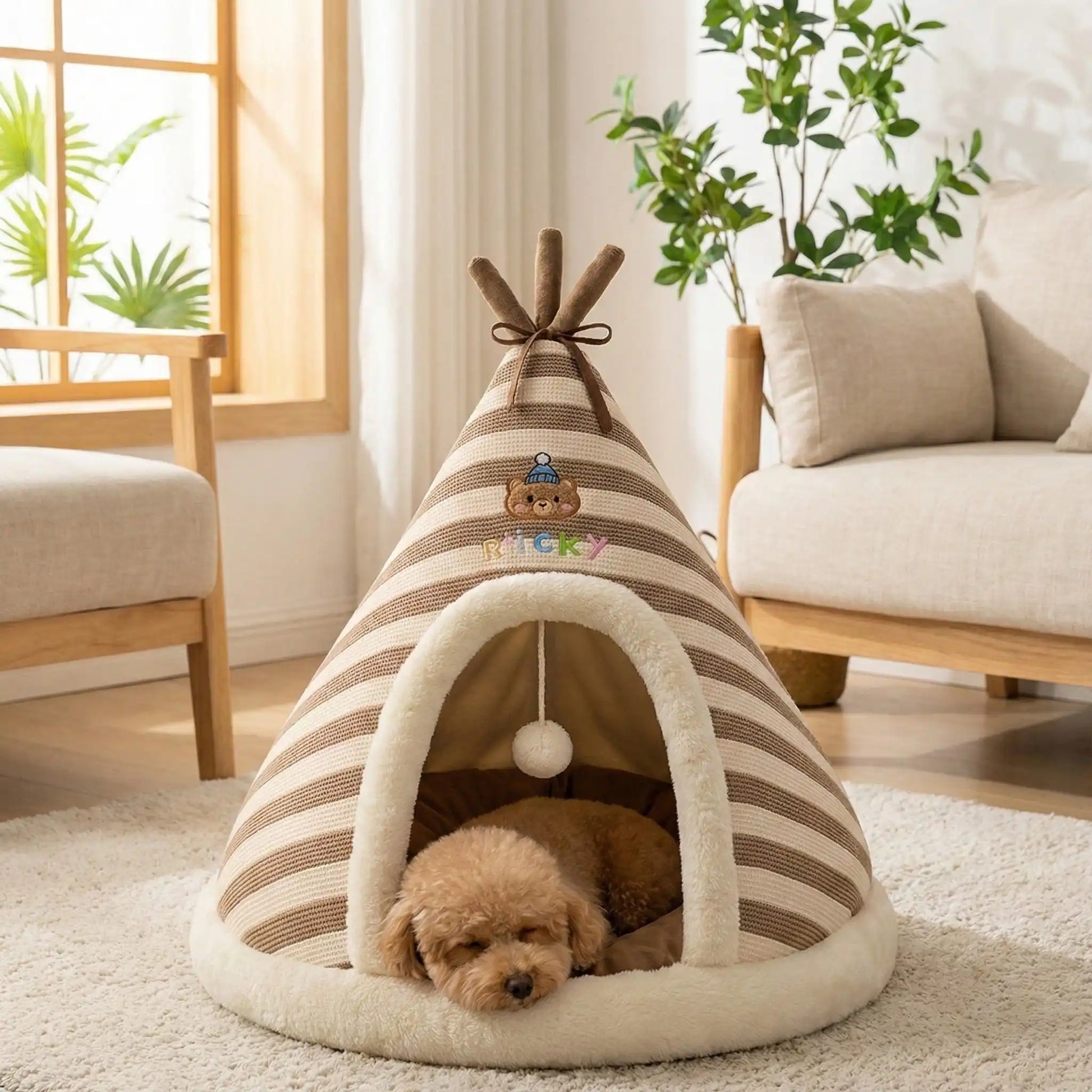 Tipi-pour-chien-cocon-anti-anxiété-coton-coussin amovible au rembourrage 100% Coton PP antidérapant et imperméable hypoallergénique et chaud-design mignon rayure avec une balle interactive en peluche accroché à l'entrée- pour chiot et chien de petite taille de 0 à 9 kilos-un chien de race naine qui dort paisiblement dans le tipi douillet sur le coussin ergonomique 100% coton amovible et lavable en machine dans le salon de l'appartement