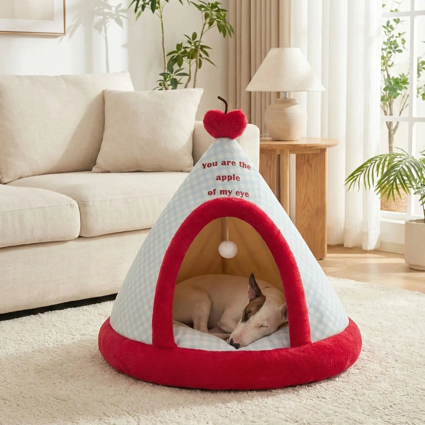 Tipi-pour-chien-de-petite-à-moyenne-taille-douillet chaud en velours et 100% coton avec son coussin intérieur rond moelleux et &pais lavable en machine hypoallergénique avec jouet interactif avec sa balle avec corde intégré- de couleur bleu et jaune clair pour chiot et chien de 0 à 15 kg maximum- fond antidérapant et imperméable-un Bull Terrier miniature qui dort paisiblement en boule au chaud de son tipi taille L dans le salon de la maison