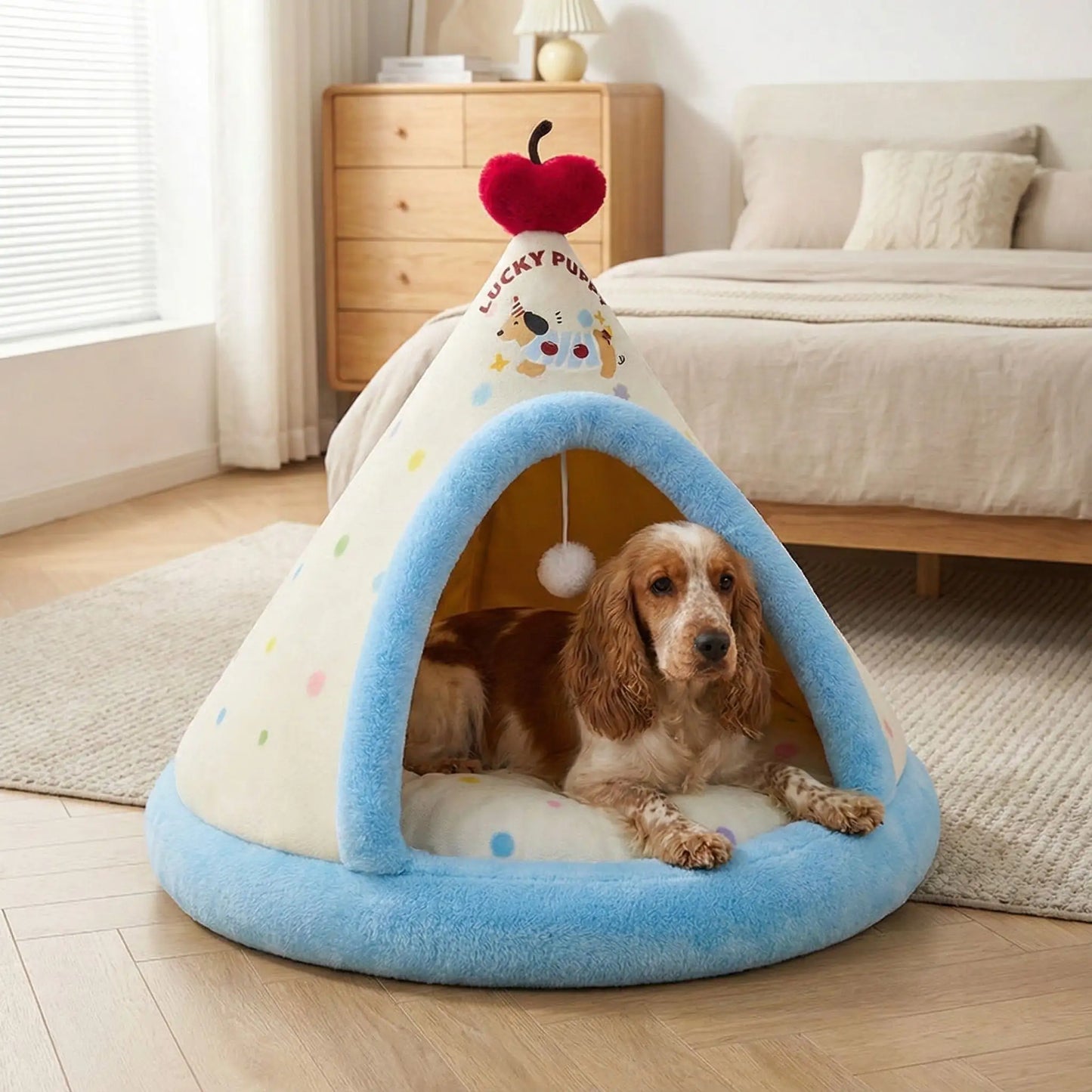Tipi-pour-chien-de-petite-à-moyenne-taille-douillet chaud en velours et 100% coton avec son coussin intérieur rond moelleux et &pais lavable en machine hypoallergénique avec jouet interactif avec sa balle avec corde intégré- de couleur bleu et jaune clair pour chiot et chien de 0 à 15 kg maximum- fond antidérapant et imperméable-un chien de race moyenne couché dans le tipi douillet bleu en velours ultra doux et 100% coton PP hypoallergénique dans la chambre de la maison