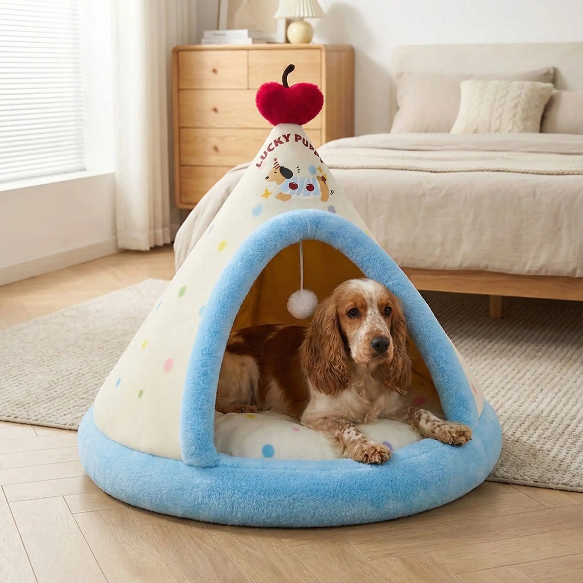 Tipi-pour-chien-de-petite-à-moyenne-taille-douillet chaud en velours et 100% coton avec son coussin intérieur rond moelleux et &pais lavable en machine hypoallergénique avec jouet interactif avec sa balle avec corde intégré- de couleur bleu et jaune clair pour chiot et chien de 0 à 15 kg maximum- fond antidérapant et imperméable-un chien de race moyenne couché dans le tipi douillet bleu en velours ultra doux et 100% coton PP hypoallergénique dans la chambre de la maison