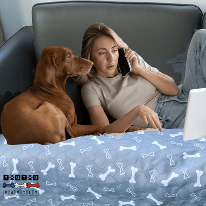 Alèse lavable chien - AlèseToutou™