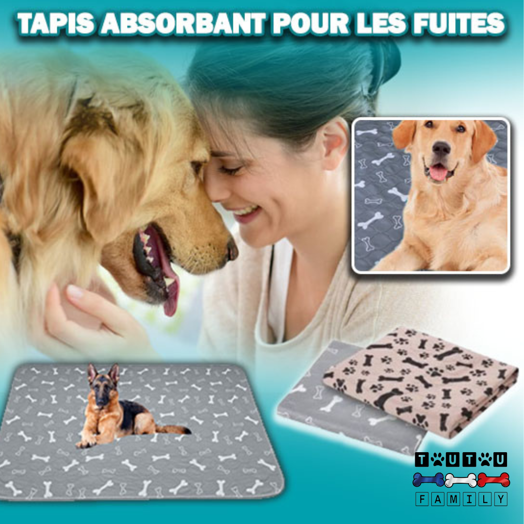 Alèse lavable chien - AlèseToutou™