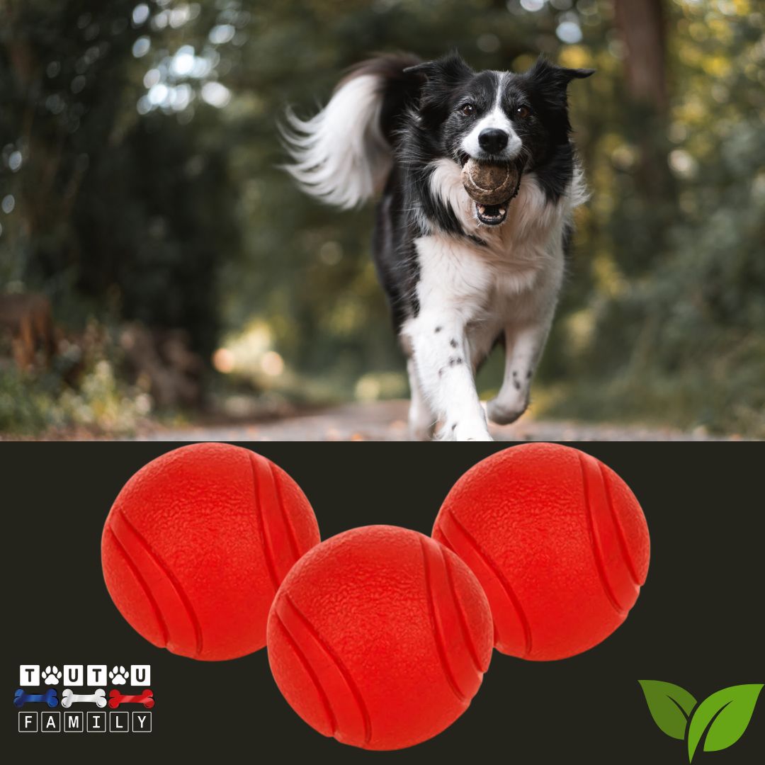 Balle-chien-solide-pour-chien-de-races-moyennes-lot-de-3-balles-d-un-diamètre-de-6-cm