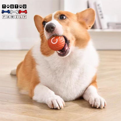 Balle-interactive-pour-chien-qui-vibre-balle-lumineuse-balle-solide-avec-câble-USB-et-batterie-un-chien-de-taille-moyenne-qui-mord-la-balle-interactive-pour-chien