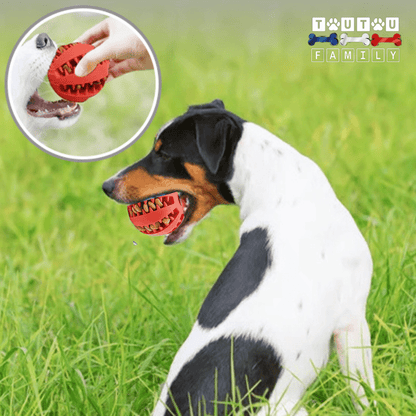 balle-pour-chien-a-croquette