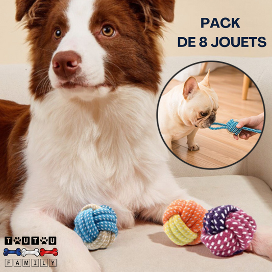 balle-pour-chien-avec-corde-a-mache