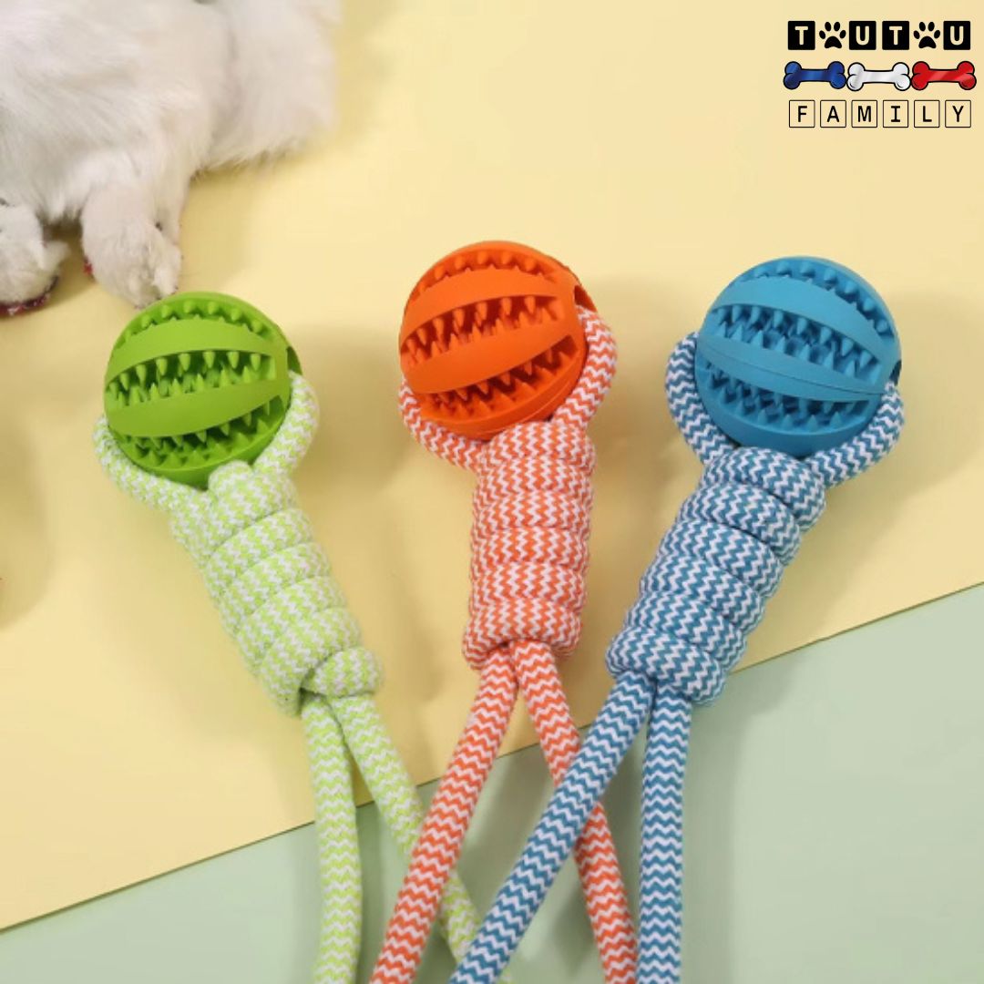 balle-pour-chien-avec-corde-jeu-de-tire-a-la-corde-en-nylon-résistante-en-trois-coloris-bleu-orange-et-vert