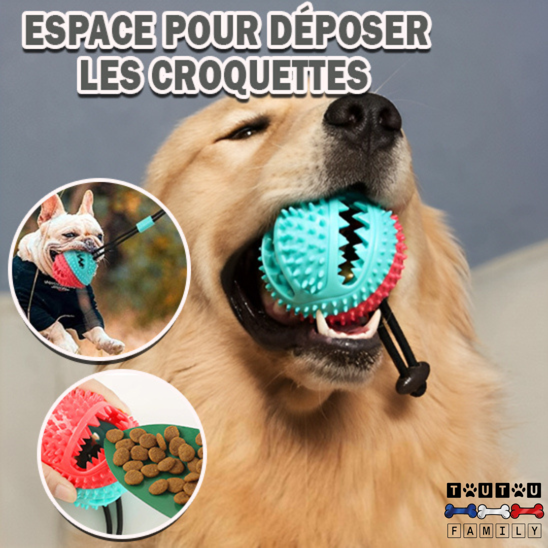 balle-pour-chien-avec-ventouse