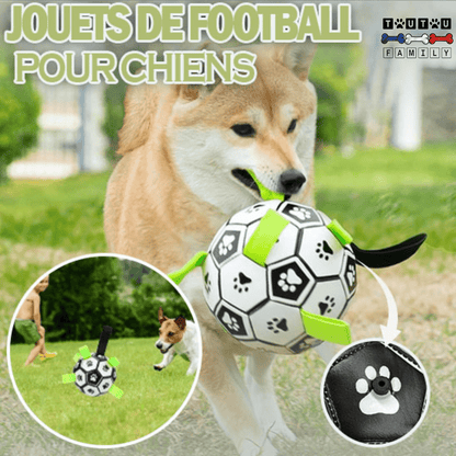 Balle pour chien de foot - FootToutou™