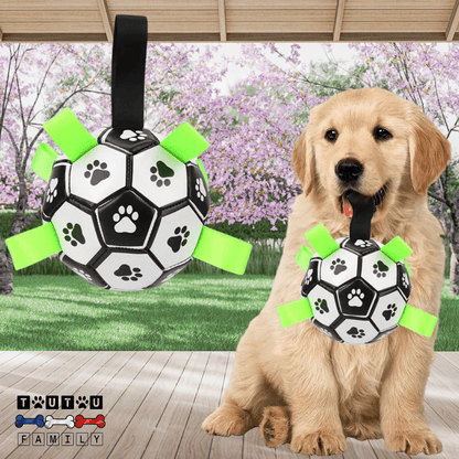 Balle pour chien de foot - FootToutou™