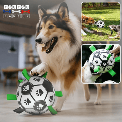 Balle pour chien de foot - FootToutou™