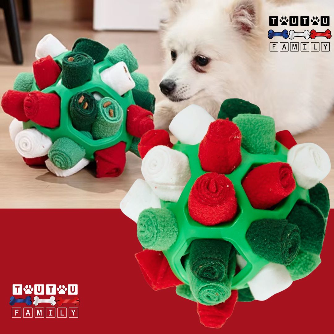 balle-pour-chien-de-fouille-caoutchouc-verte-écoresponsable-recyclable-jouet-interactif-pour-chien