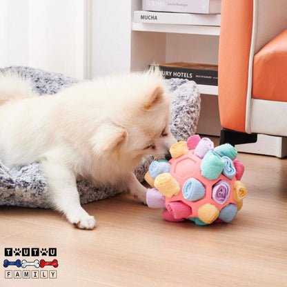 balle-pour-chien-de-fouille-jeu-pour-chien-intelligent-un-chien-de-race-coton-de-tuléar-qui-joue-avec-sa-balle-de-fouille-rose-dans-son-appartement
