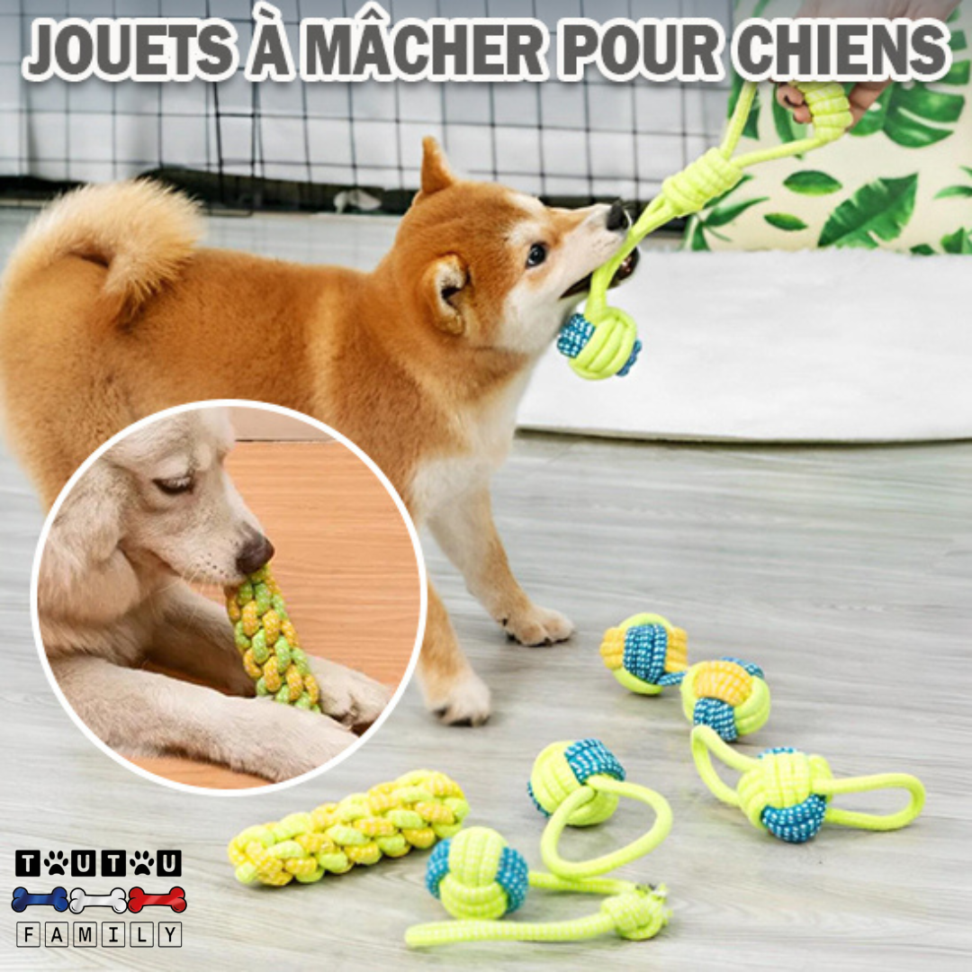 balle-pour-chien-en-corde