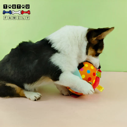 balle-pour-chien-en-peluche-anti-stress-un-chien-de-petite-taille-qui-mord-avec-joie-l-balle-toute-douce-en-coton-très-coloré