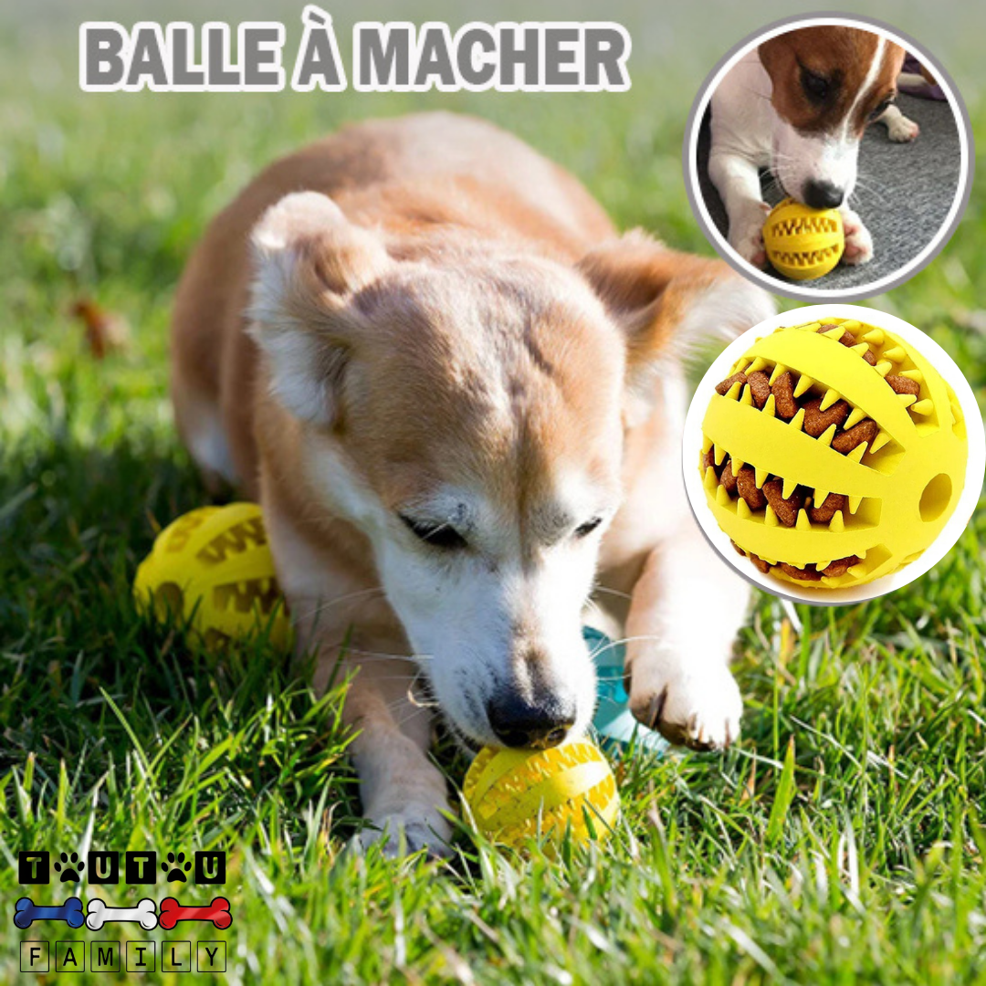 balle-pour-chien-friandise