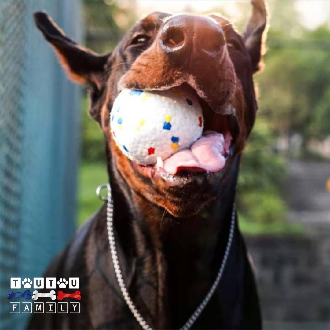 Balle pour chien indestructible -IncassableToutou™