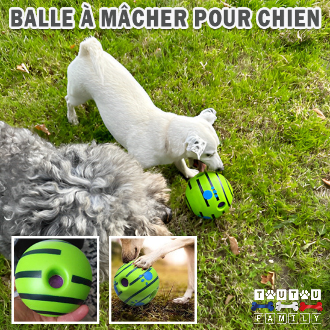 balle-pour-chien-interactive