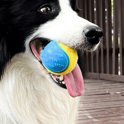 Balle-pour-chien-Lot-de-3-exterieur-et-aquatique, balles flottantes, multicolores, 100 caoutchouc naturel souple et solides , balle sonore quand le chien la presse dans sa mâchoire, surface texturée pour un massage bucco-dentaire très utile pour coulagre les chiots , 3 balles de diamètres de 6,5 cm idéales pour chiot et chien de petite à moyenne race-gros plan sur la mâchoire d'un chien de taille moyenne qui tient fermement la balle solide qui couine