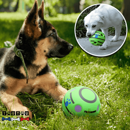 balle-pour-chien