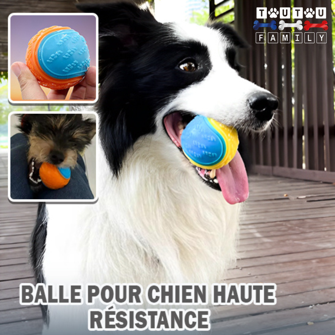 balle_pour_chien_couine