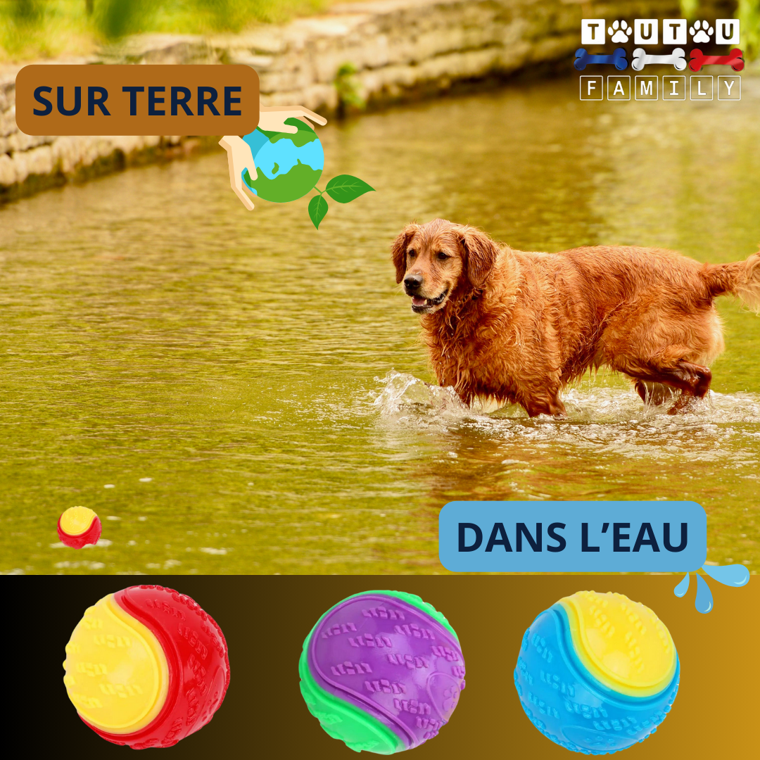 Balle pour chien (Lot de 3 ) - BalleToutou™