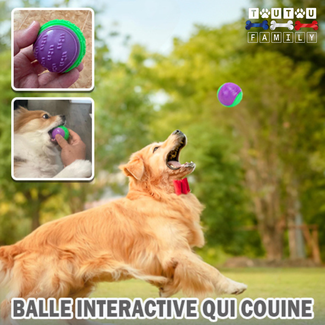 balle_pour_chien_flottante