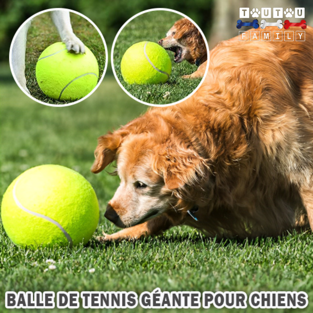 balle_pour_chien_jaune