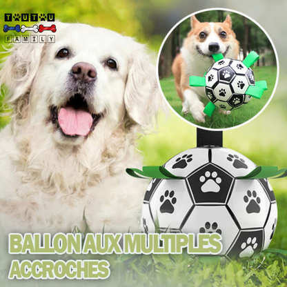 Balle pour chien de foot - FootToutou™