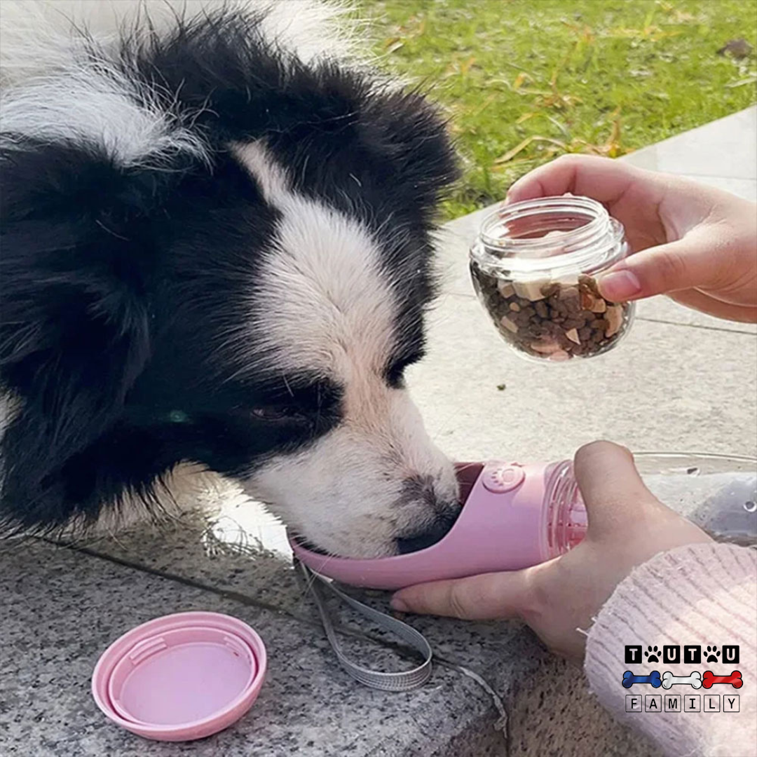 Bouteille d'eau pour chien - DistribToutou™