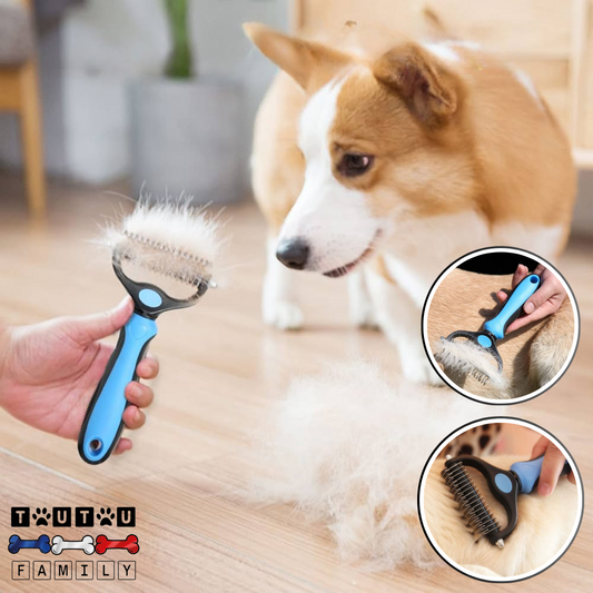 Brosse pour chien à poils longs - DémêleToutou™