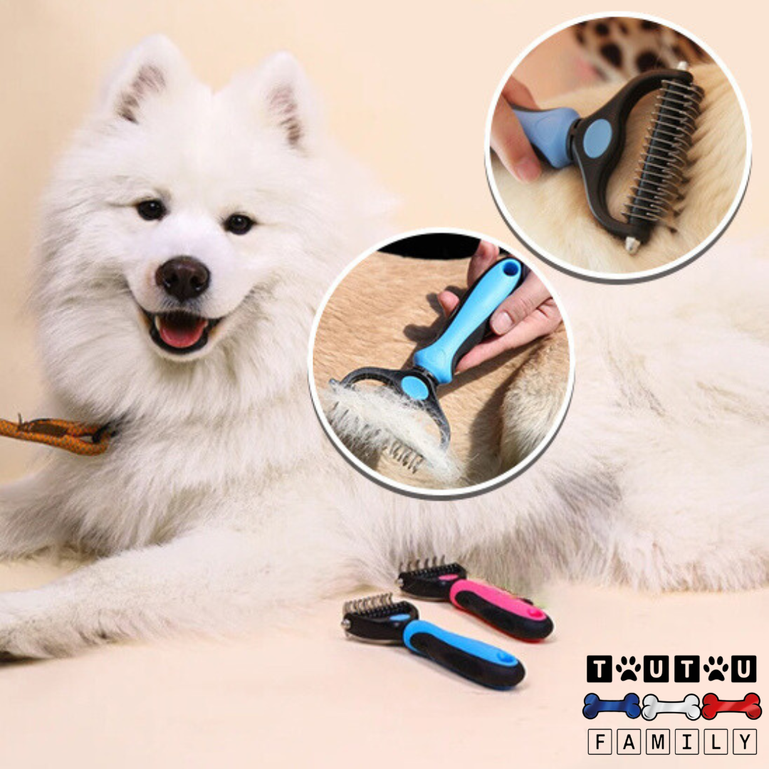 Brosse pour chien à poils longs - DémêleToutou™